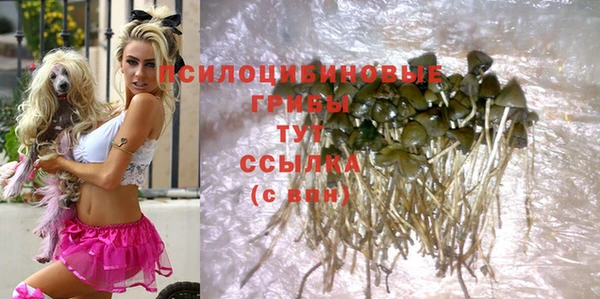 MESCALINE Аркадак
