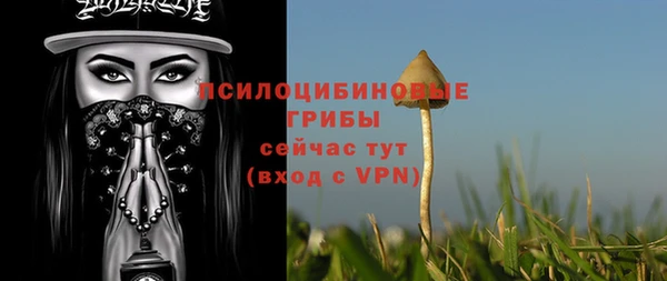 MESCALINE Аркадак