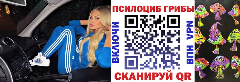 хочу   Белокуриха  Псилоцибиновые грибы прущие грибы 